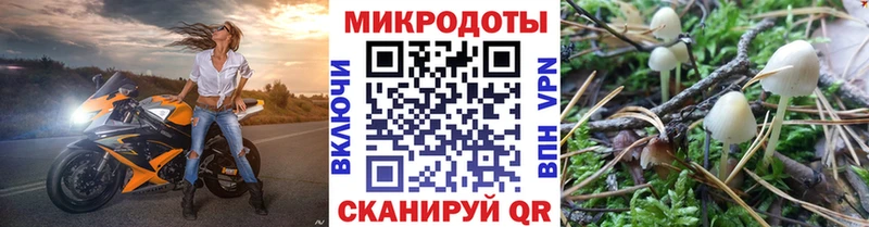 Псилоцибиновые грибы Psilocybine cubensis Верещагино